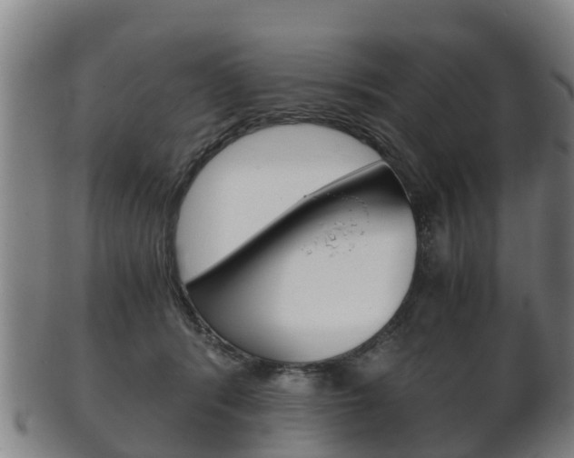 X0000102520416200808081034