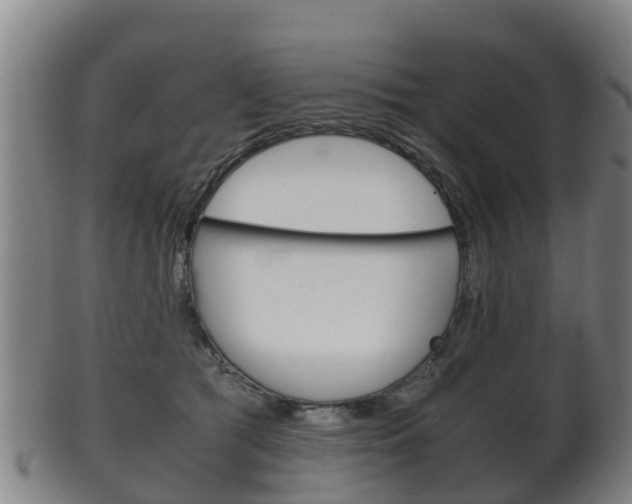 X0000102520417200808081034