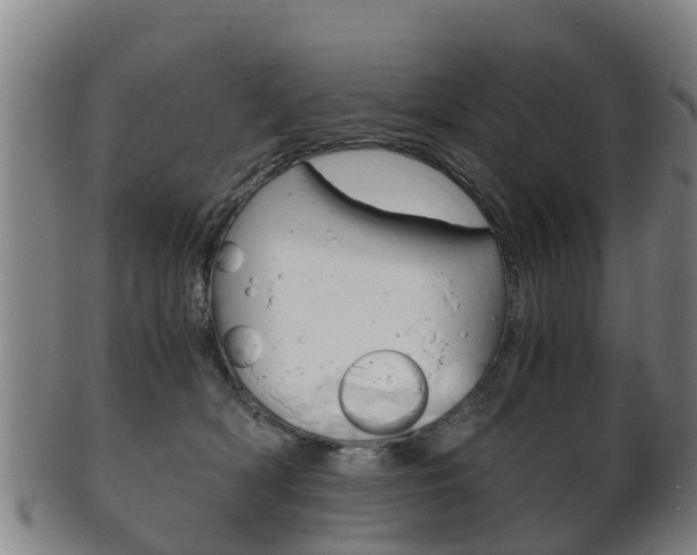 X0000102520418200808081034