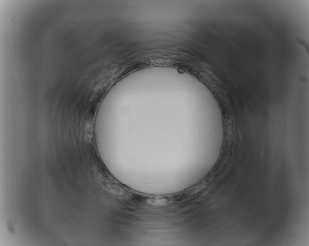 X0000102520419200808081034