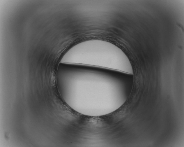 X0000102520420200808081034