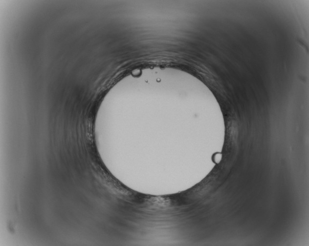 X0000102520421200808081034