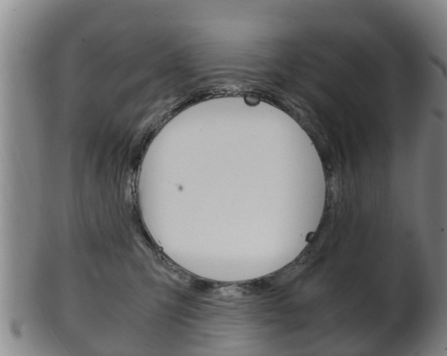 X0000102520423200808081034