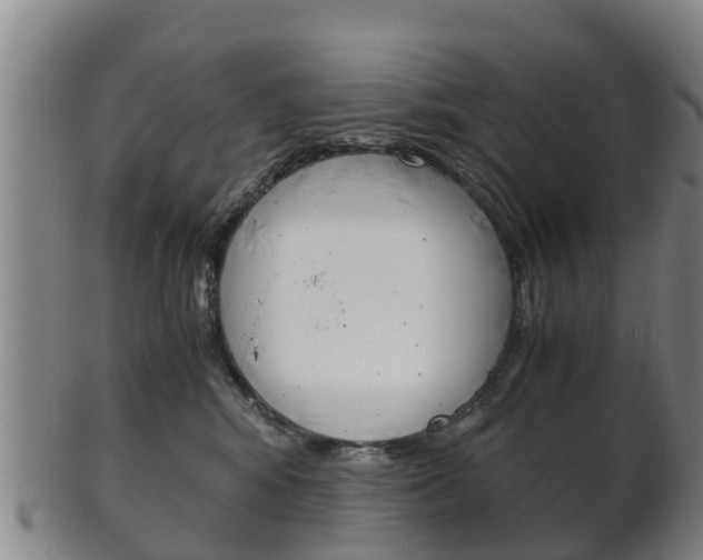 X0000102520424200808081034