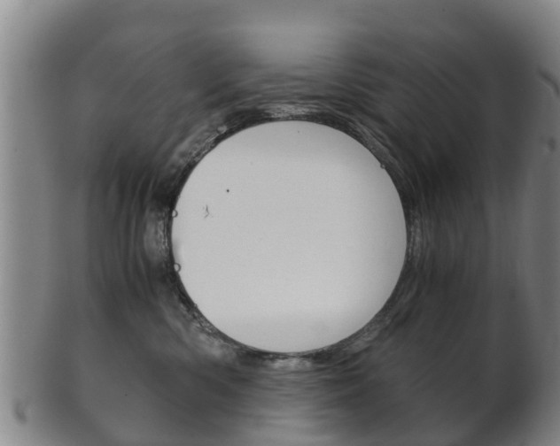 X0000102520426200808081034