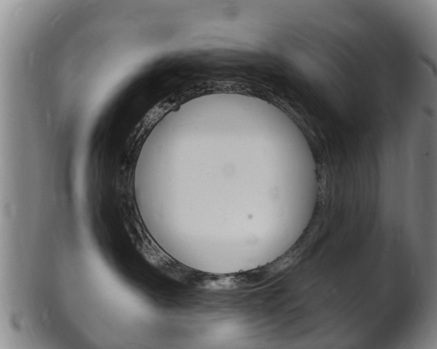 X0000102520430200808081034