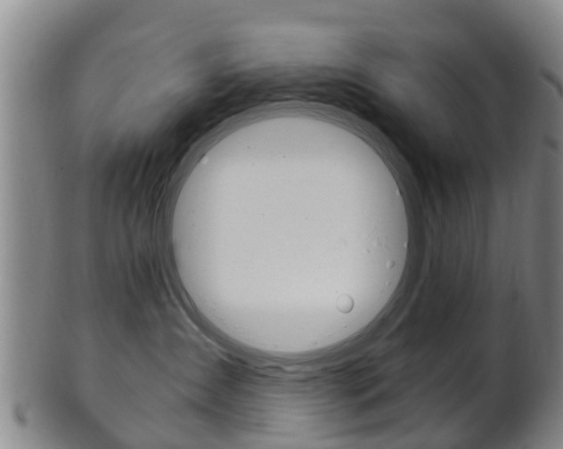 X0000102520431200808081034