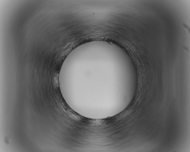 X0000102520432200808081034