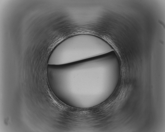 X0000102520433200808081033