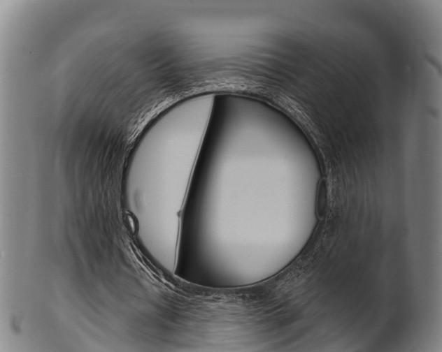 X0000102520434200808081033