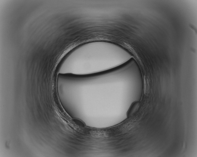 X0000102520435200808081033