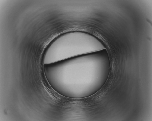 X0000102520436200808081033