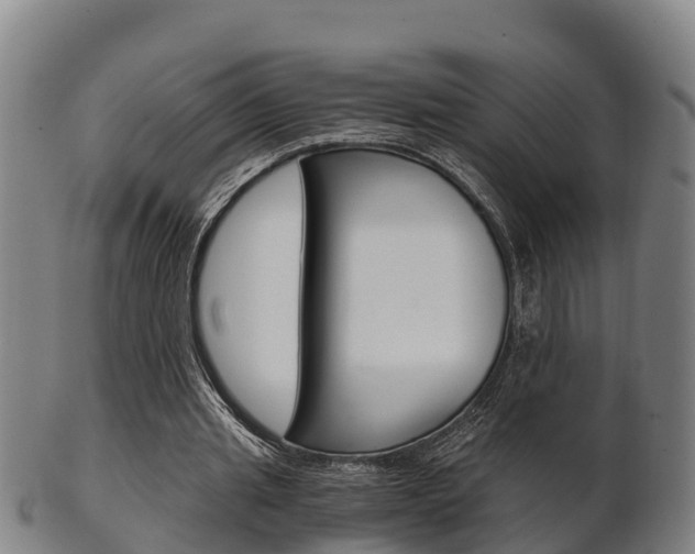 X0000102520437200808081033