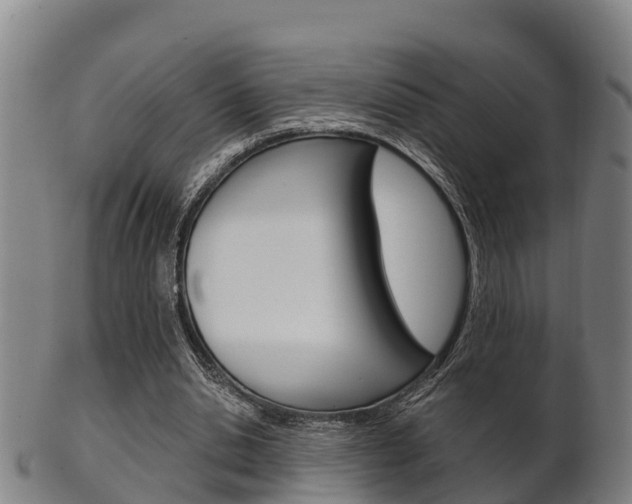 X0000102520438200808081033