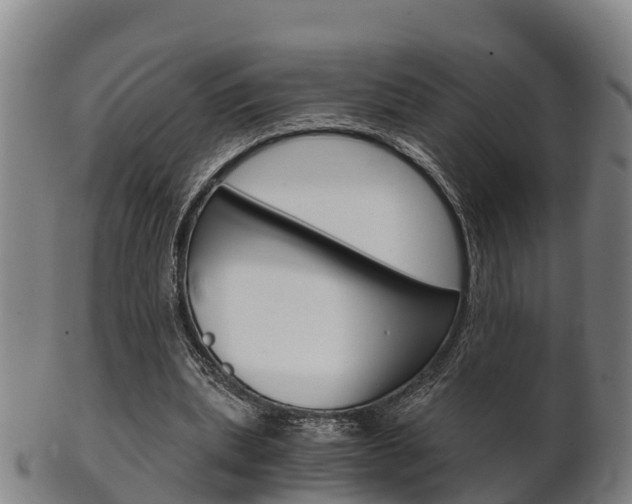 X0000102520439200808081033