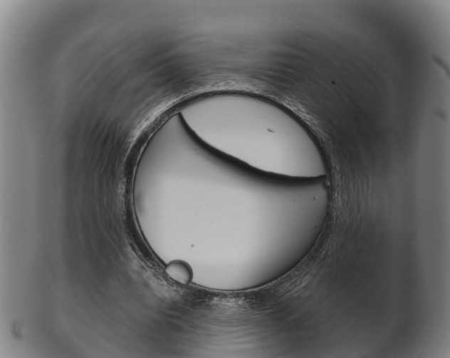 X0000102520440200808081033