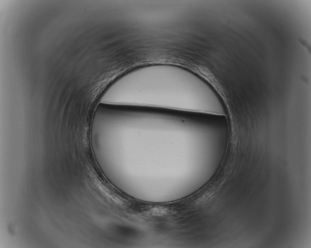 X0000102520441200808081033