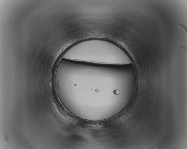 X0000102520443200808081033