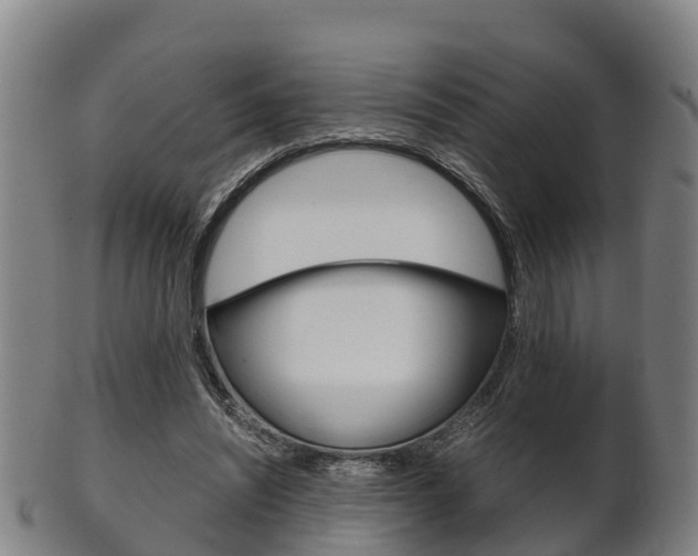 X0000102520444200808081033