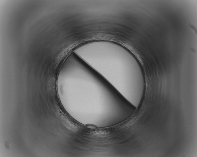 X0000102520445200808081033