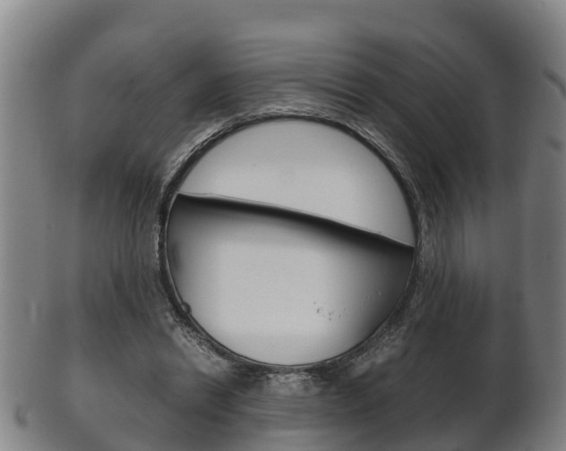 X0000102520446200808081033