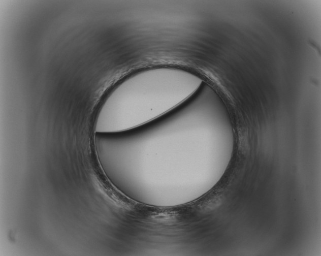 X0000102520447200808081033