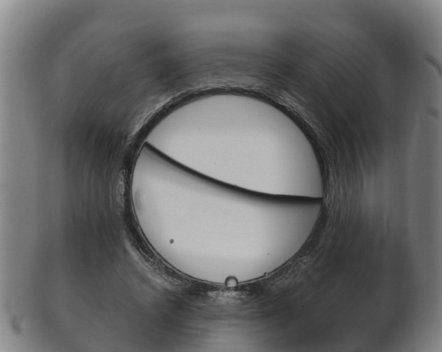 X0000102520448200808081033