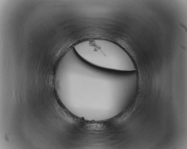 X0000102520449200808081033