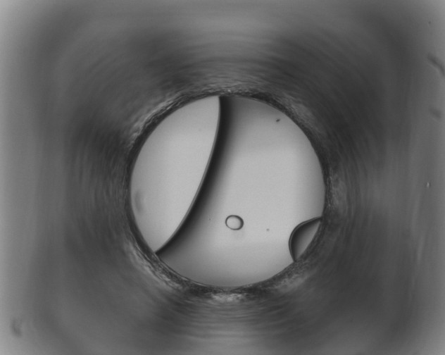 X0000102520450200808081033