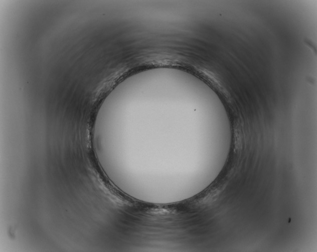 X0000102520453200808081034