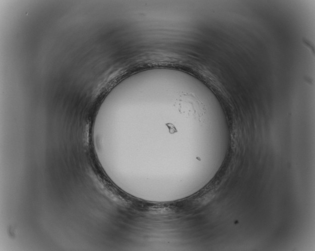 X0000102520454200808081034