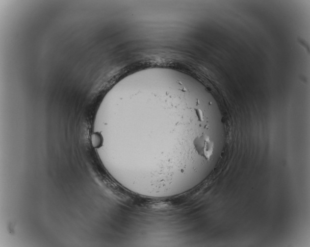 X0000102520456200808081034