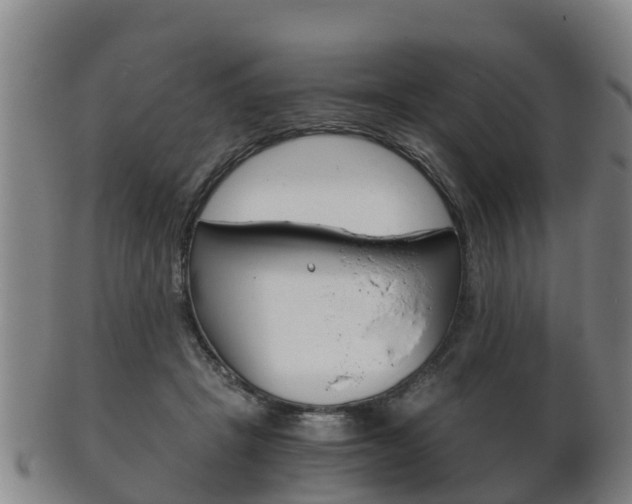 X0000102520457200808081034