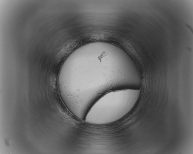 X0000102520458200808081034