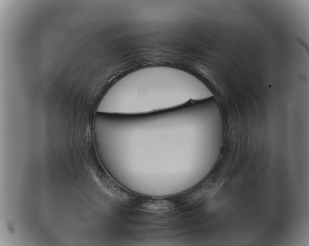 X0000102520459200808081034