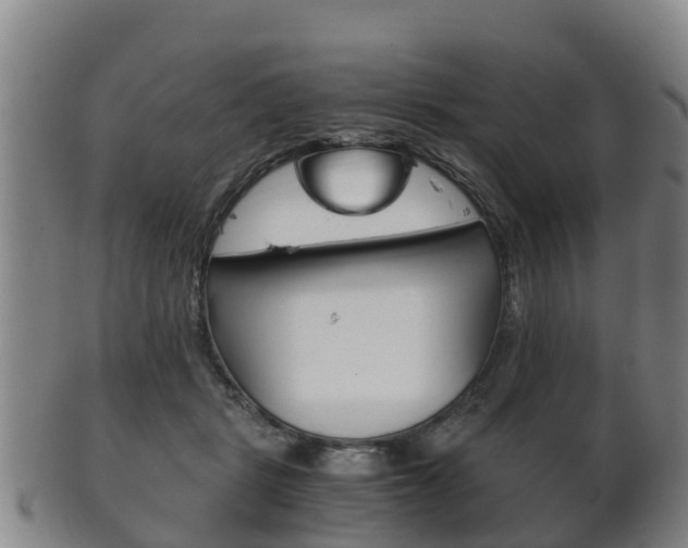 X0000102520461200808081034
