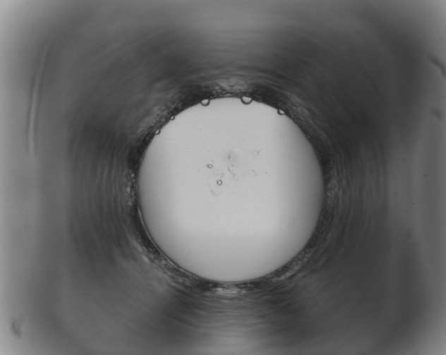 X0000102520464200808081034