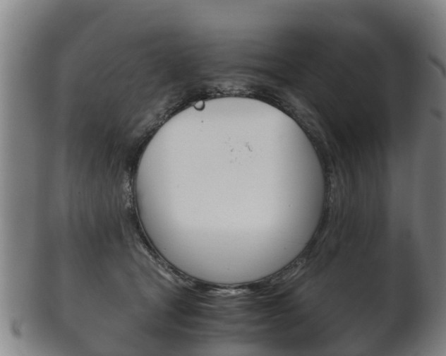 X0000102520465200808081034