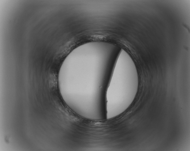 X0000102520467200808081034