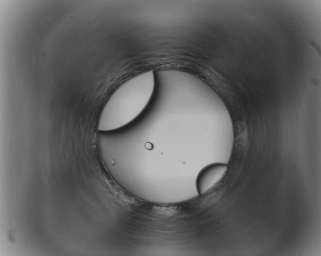 X0000102520469200808081034