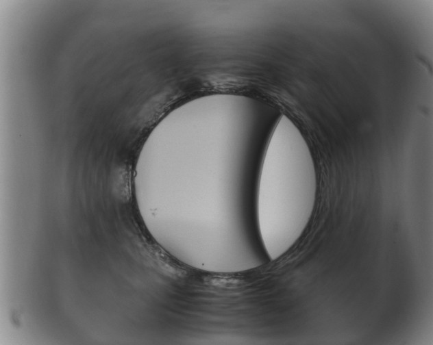 X0000102520471200808081034
