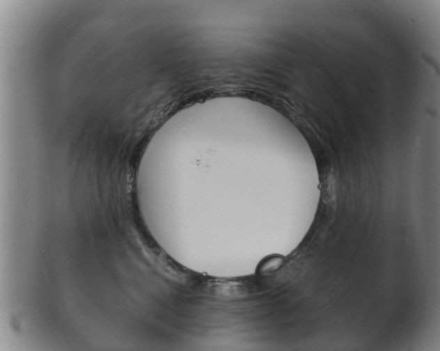 X0000102520472200808081034
