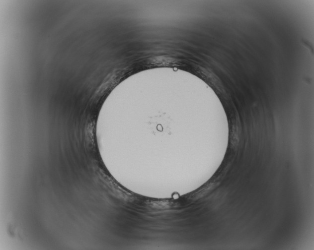 X0000102520473200808081034