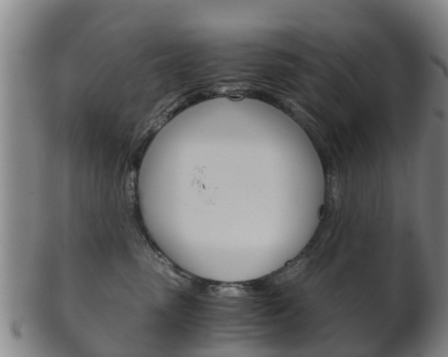 X0000102520475200808081034