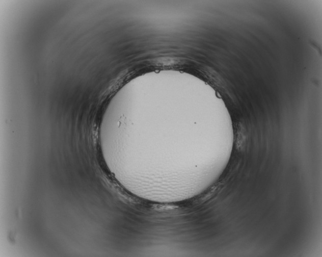 X0000102520476200808081034
