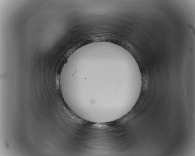 X0000102520477200808081034