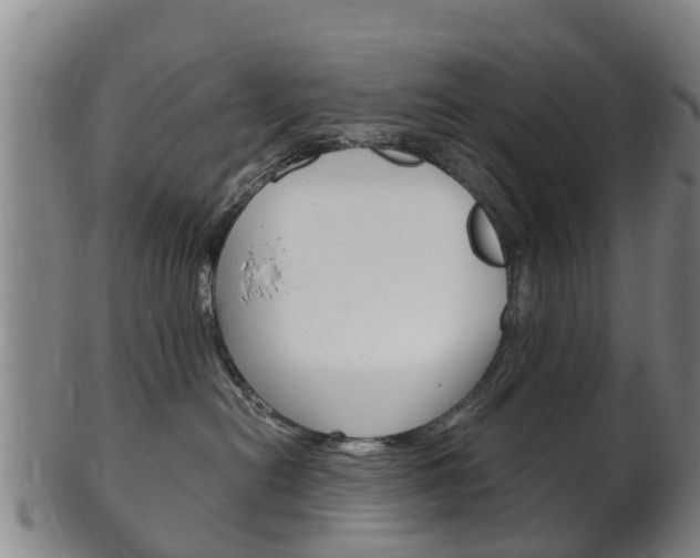 X0000102520478200808081034