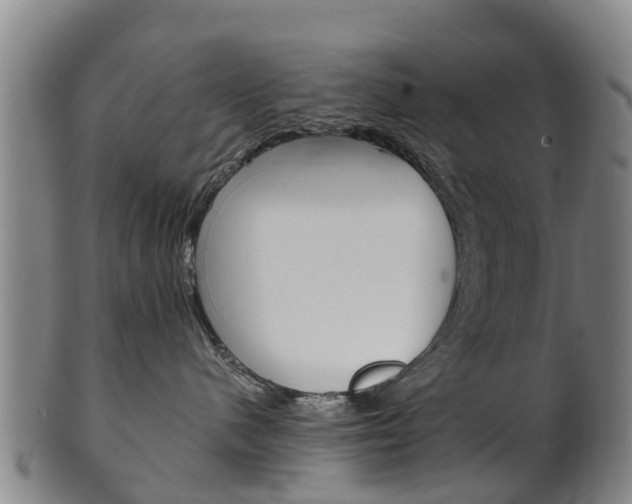X0000102520480200808081034