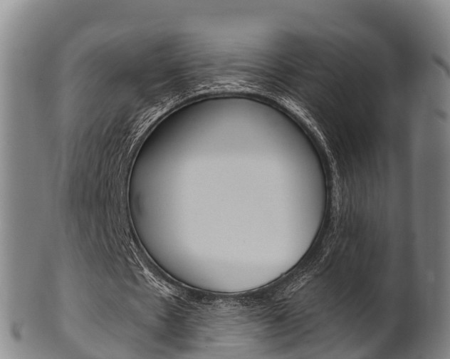 X0000102520481200808081033
