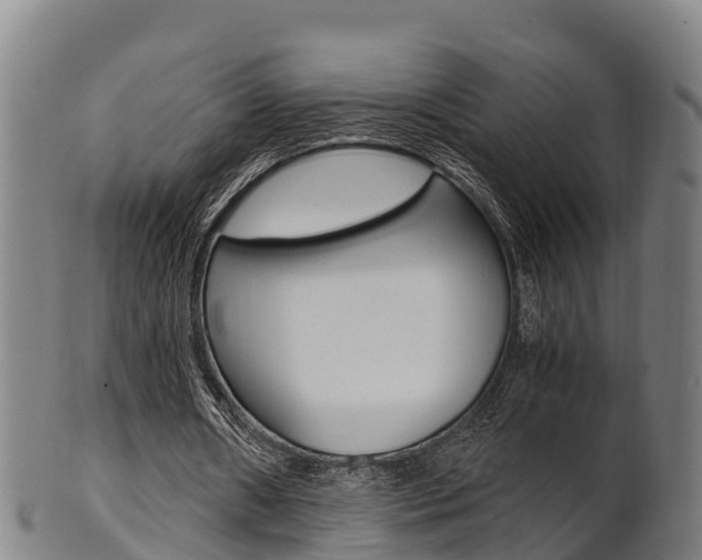 X0000102520482200808081033